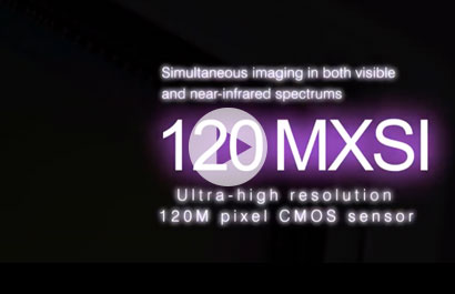 Canon 120MXSI 120 MP RGB-NIR CMOS Sensor