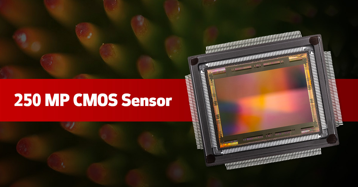 canon-cmos-sensors.com